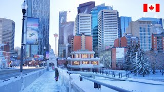 CALGARY After Snowfall  Downtown City Walk  4K Canada 🇨🇦 Travel vlog [upl. by Dace246]