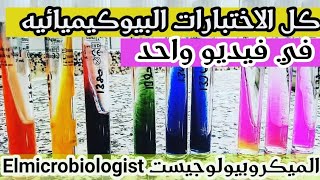 Identification of bacteria Microbiology practical  Biochemical tests شرح بالعربي [upl. by Chloe]