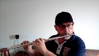 Trumpet Voluntary  HPurcell Clarke Prince  Flute Cover [upl. by Alaaj]