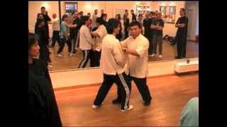 Tai Chi Push Hands Workshop with Lau Kung King [upl. by Anerehs211]