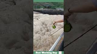 Best working day 1699 Wastewater treatment process with defoamer [upl. by Pollock327]