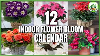 12 Indoor Flower Plants That Bloom According to 12 Months  Flower Bloom Calendar PlantandPlanting [upl. by Inimod418]