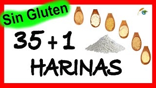 Tipos de harina SIN GLUTEN ✅ 351 harinas para CELIACOS  NUTRITIVAS que el trigo  Harina sin TACC [upl. by Lysander]