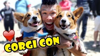 Hit up a CORGI Convention  OVER 1k Corgis  Life After College Ep 602 [upl. by Hamimej]