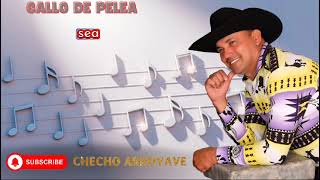 Gallo de Pelea  Checho Arroyave [upl. by Otsugua]