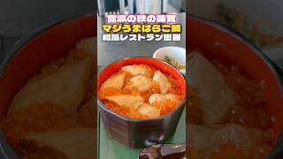 マジうま‼︎はらこ飯 和風レストラン田園【仙台グルメ】 [upl. by Mohsen]