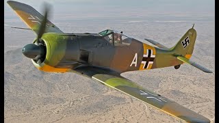 What Makes This Plane Great  FockeWulf FW 190 [upl. by Etnoj375]