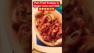 Cooking Perfect Scallops  Gordon Ramsay Style 😋😋😋😋😀 [upl. by Politi416]