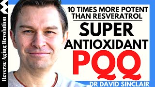 SUPER Antioxidant PQQ 10 TIMES More POTENT Than Resveratrol  Dr David Sinclair Interview Clips [upl. by Aihppa180]