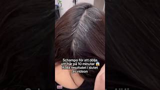 Schampo för att dölja vitt hår på 10 minuter 😱 Kolla slutet av videon mörinz haircare christmas [upl. by Neenahs]