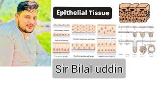 Epithelial tissue  Sir Bilal uddin sb  The Oxford English education Academy Malakpur  school [upl. by Nylrac]