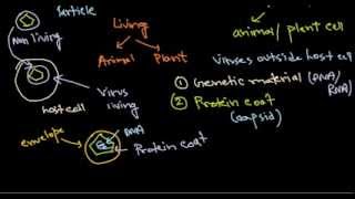 1 virus structure introduction [upl. by Navonod138]