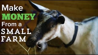 How to Make Money on a Small Farm [upl. by Ettener587]