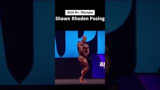 Shawn Rhoden Posing in 2016 Mr Olympia mrolympia shorts fitness motivationalvideo [upl. by Eckblad]