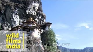 Taktsang monastery in Paro valley Bhutan [upl. by Evered618]