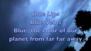 Blue Lips  Regina Spektor lyrics [upl. by Hadsall]