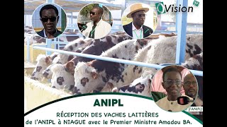 ÔDécouverte RÉCEPTION DES VACHES LAITIÈRES de lANIPL à NIAGUE avec le Premier Ministre Amadou BA [upl. by Fugazy]