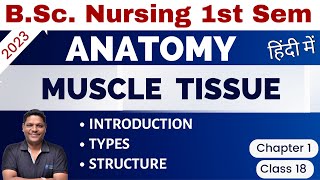 CLASS 18  MUSCLE TISSUE  Unit 1 BSc Nursing 1st Sem  Anatomy amp Physiology [upl. by Klinger]