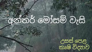 අන්තර් මෝසම් වැසි  Agricultural Science for Advance Level Examination Sinhala medium [upl. by Bowyer]