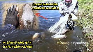 GILAAA NEMU SARANG IKAN KO SEPERTI INI SEKALI JALA PULANG [upl. by Gervais]