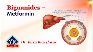 Biguanides  Metformin  Biguanides  YR Pharma Tube  Dr Yerra Rajeshwar  Dr YR [upl. by Oad]