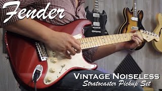 Fender Vintage Noiseless Pickups [upl. by Jed]