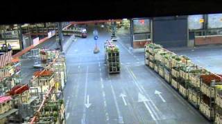 Aalsmeer Flower Market Operations [upl. by Phillida]