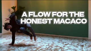 A FLOW FOR THE HONEST MACACO [upl. by Holt886]