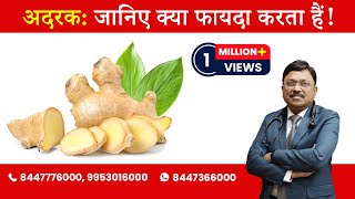 Ginger  Know the Benefits  By Dr Bimal Chhajer  Saaol [upl. by Anej]