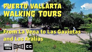 PUERTO VALLARTA WALKING TOUR La Vena to Las Gaviotas and Las Aralias Rancho Ojo de Agua [upl. by Ahsad]