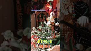 ગુરુવારના જય મામાદેવ dakla [upl. by Ellord]