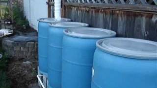 DIY Multiple Rain Barrel System How To [upl. by Einwahr]