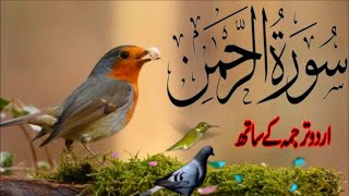 SURAH RAHMAN TARJUMA K SATH  BY QARI Al SHAIKH MUHAMMAD  EP 00258  QURAN TILAWAT BEAUTIFUL VOICE [upl. by Tnias935]