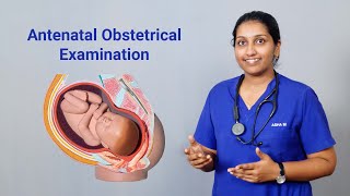 Antenatal Obstetrical Examination [upl. by Desberg116]