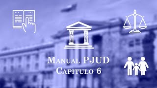 Capítulo 6 Procedimientos ante los Juzgados de Familia  Manual único para Tribunales [upl. by Ynohtnaeoj861]