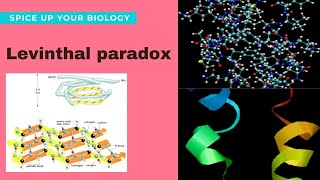 Levinthal Paradox Protein biochemistry [upl. by Sitelc]