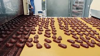 Chocolate Conveyor Belt Stock Video [upl. by Willow]