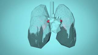 WHO Breathe Life  How air pollution impacts your body [upl. by Yenterb621]