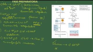 Biología 2 bach Tema 8 Metabolismo citosólico 1 La glucólisis 2 Fermentaciones [upl. by Meredeth]