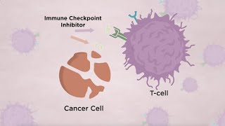 Immune Checkpoint InhibitorRelated Pneumonitis in Lung Cancer  August 2021 [upl. by Gershon]