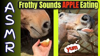 Horses Biting Into Apples ASMR  Oddly Satisfying Soft Chewing Sounds For Relaxation  Frothy Mouths [upl. by Smada]