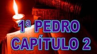 1ra de Pedro Biblia Hablada Dramatizada RV Completo [upl. by Einwahs]