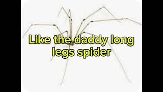 Do the daddy long legs lyrics The OG Wiggles [upl. by On]