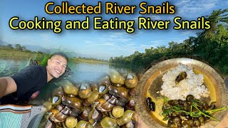 Collecting River Snails From Freshwater River  Cooking and Eating Snails 🐌  Village Life [upl. by Ennaxor]