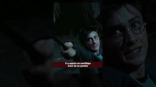 Harry Potter estil VRAIMENT un héros  harrypotter shorts [upl. by Friend177]