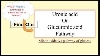 Uronic AcidGlucuronic Acid Pathway [upl. by Enyawal]