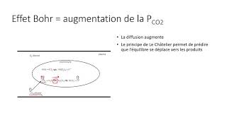 Effet Bohr vidéo [upl. by Hylton219]