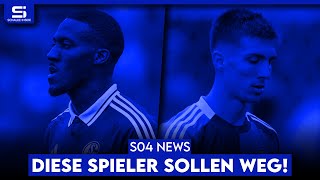 XXLStreichliste Slomka oder Höwedes als Sportdirektor Elgert über TchibaraKritik  S04 NEWS [upl. by Arvie822]