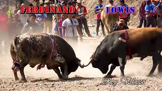 FERDINAND Vs LOWIS Toro Tinku 2023 San Pedro de Buena Vista [upl. by Myrta]