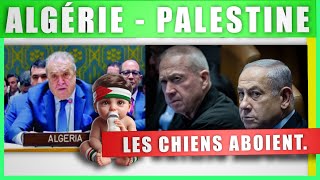 Algérie  Palestine  Les Mêmes Chiens Aboient   Vidéo Modifié [upl. by Perlie344]